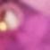 ROSE VIF