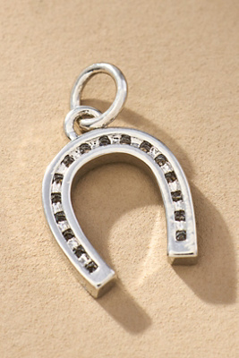 Lucky Horseshoe Jewelry Charm