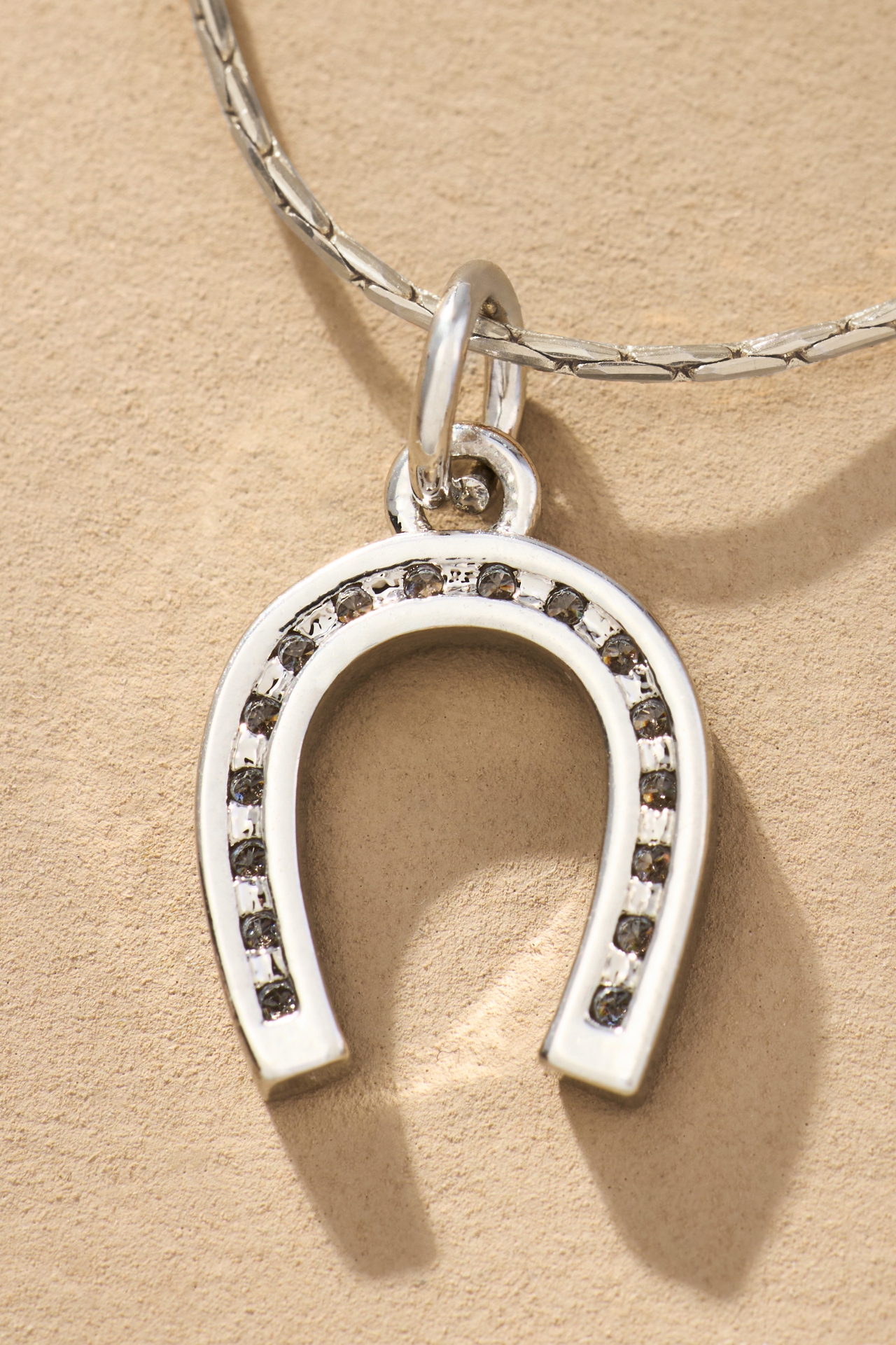 Lucky Horseshoe Jewelry Charm