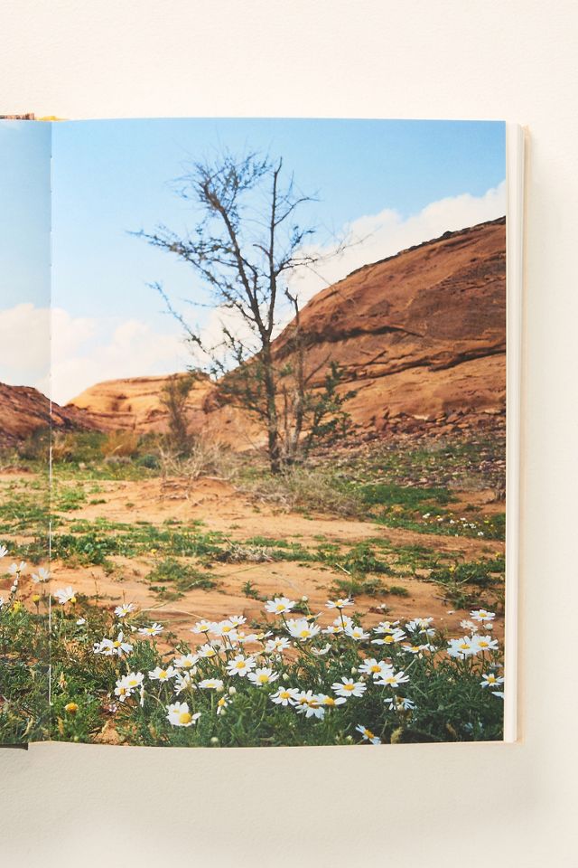 AlUla Flora #1