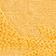 Maize