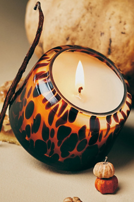 The Gather Candle by Anthropologie: Pumpkin & Sweet Vanilla product page