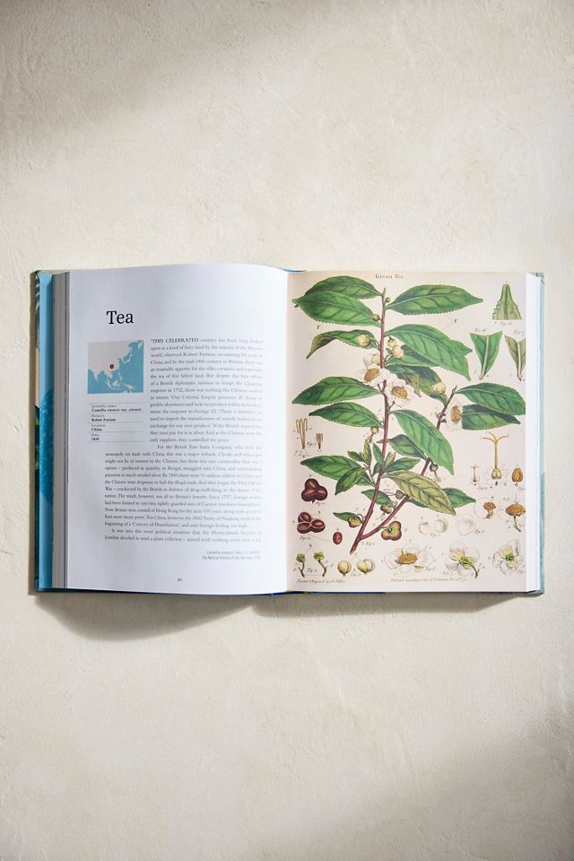 The Plant Hunter’s Atlas #1