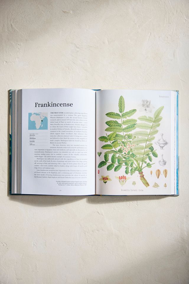 The Plant Hunter’s Atlas #2