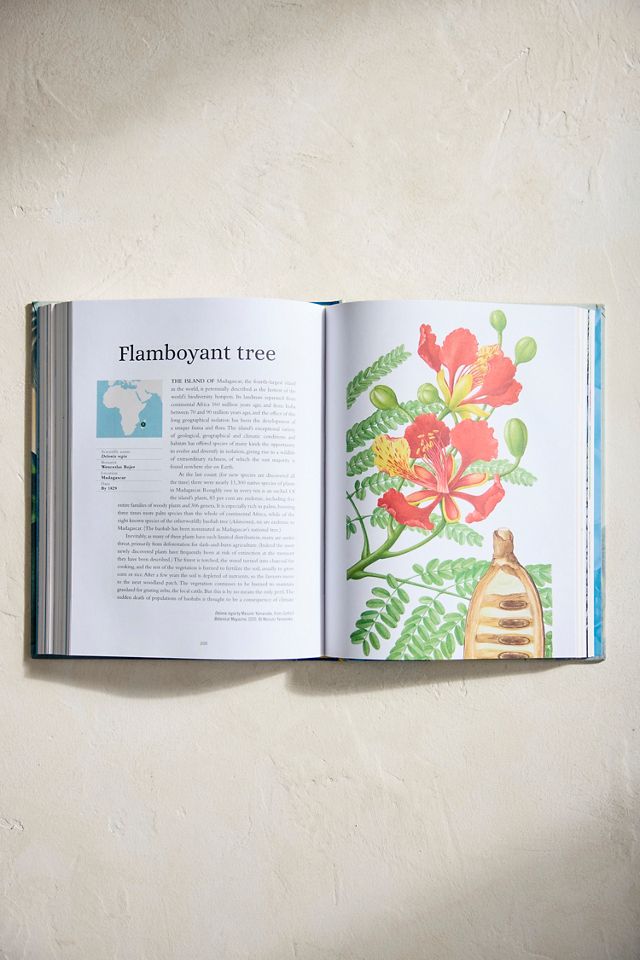 The Plant Hunter’s Atlas #3