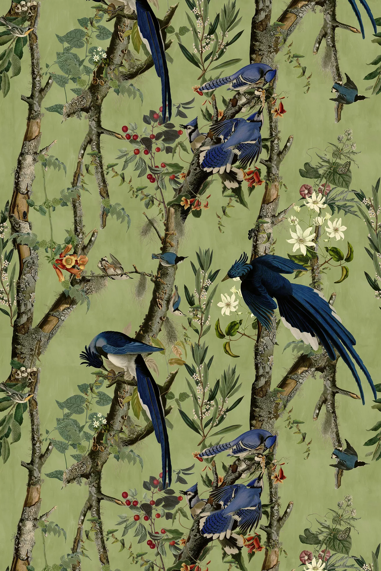 MINDTHEGAP Birds of Danube Bird Wallpaper