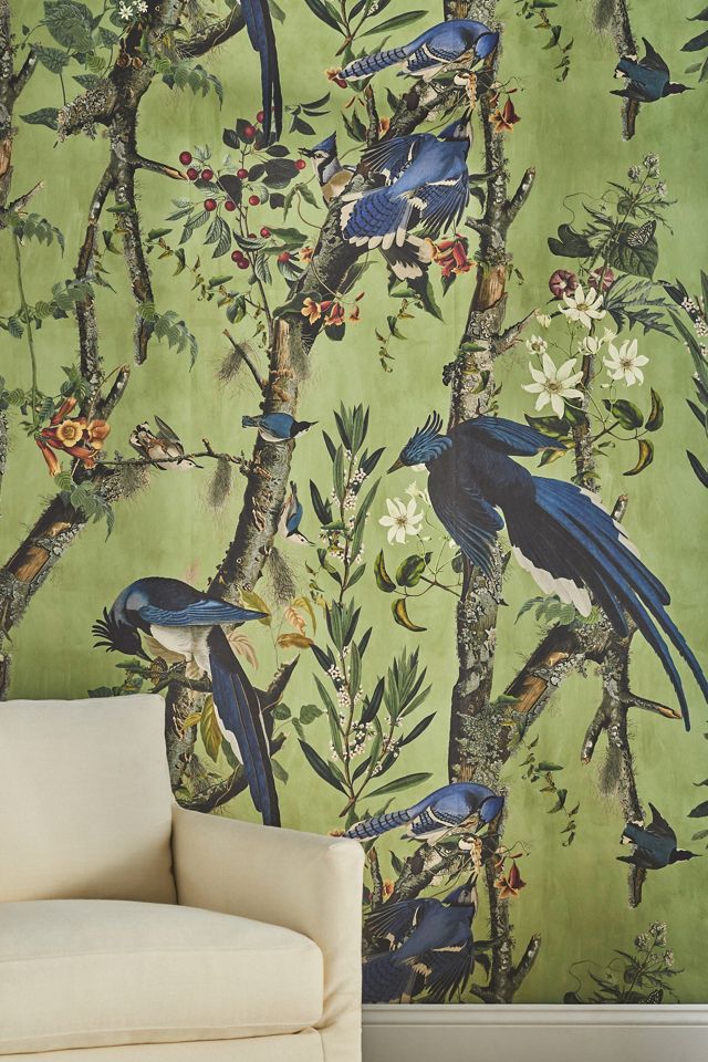 MINDTHEGAP Birds of Danube Bird Wallpaper #1