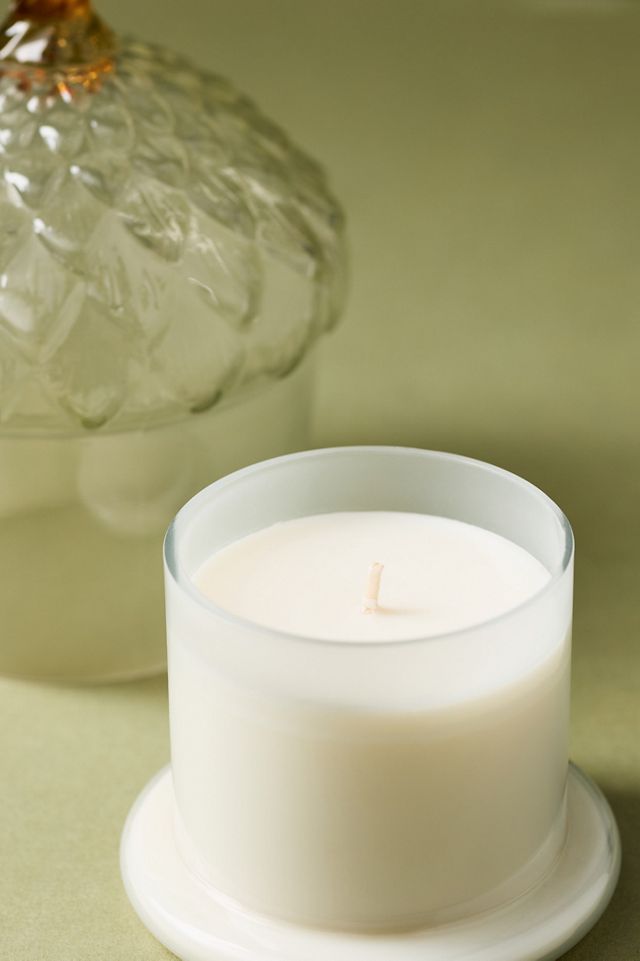 Woody Leather & Leaves Glass Acorn Cloche Candle #2