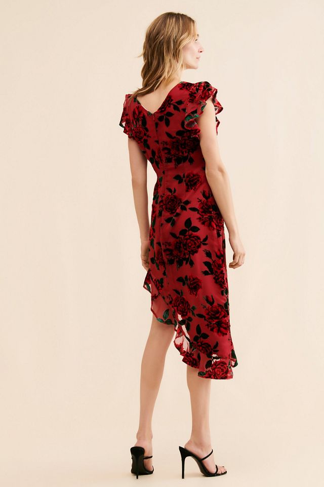 Rachel Parcell Ruffle Asymmetrical Burn Out Velvet Dress #1