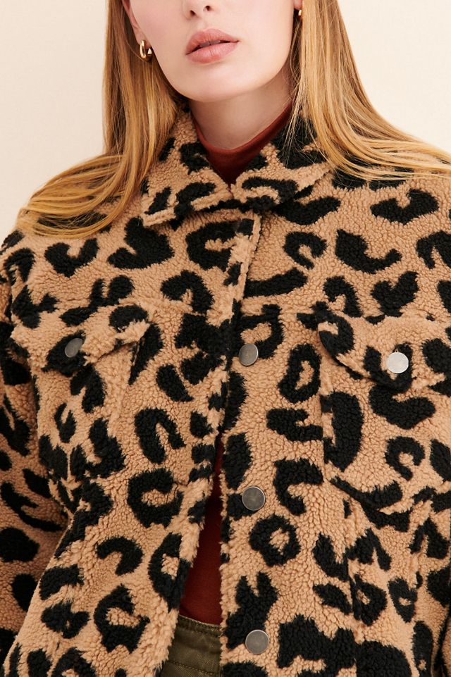 Apparis Tiarra Leopard Teddy Bear Jacket #2