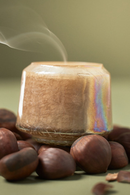 Anthropologie The Gather Candle By : Silk & Black Chestnut Mini Edition