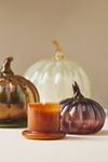 Woody White Birch & Pumpkin Glass Pumpkin Cloche Candle