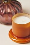 Woody White Birch & Pumpkin Glass Pumpkin Cloche Candle