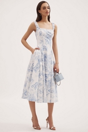 Mare Mare Chinoiserie Sleeveless Fit & Flare Midi Dress