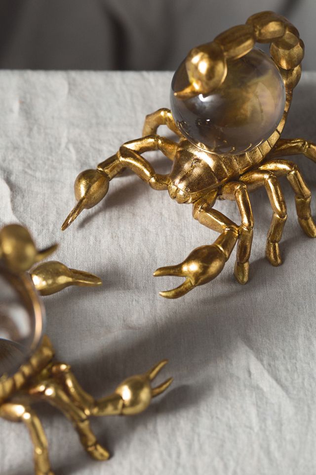 Scorpion Orb Decorative Object #1
