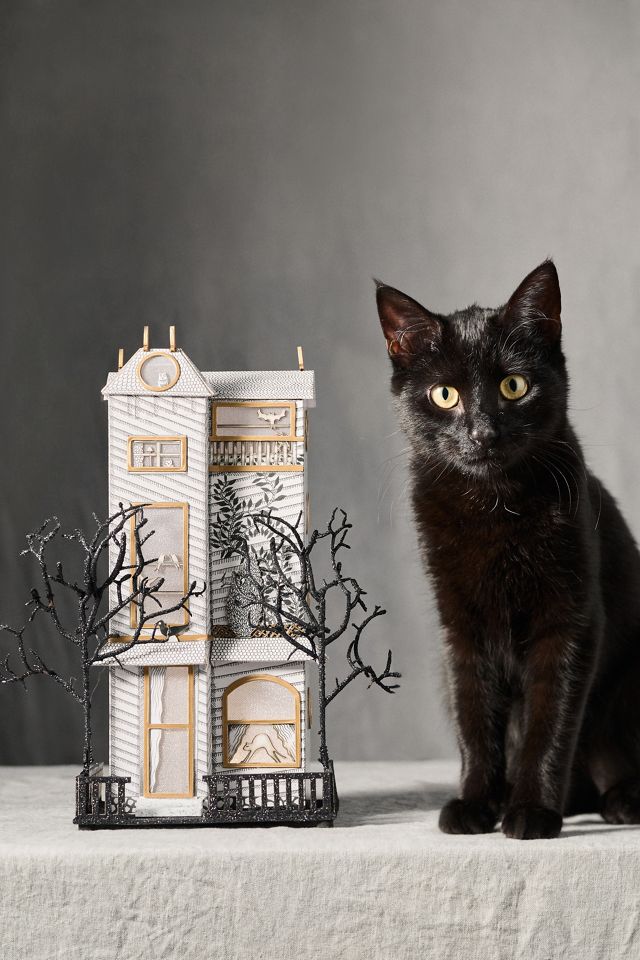 Florence Balducci Black Cat Light-Up Paper House #3