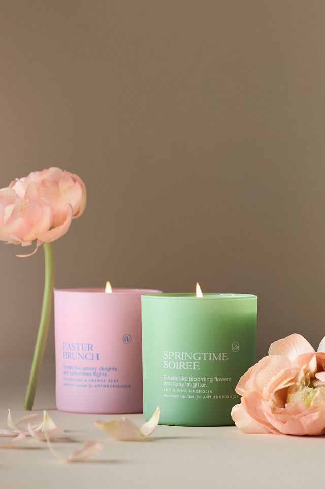 Anecdote Easter Brunch Champagne & Orange Zest Boxed Candle #1
