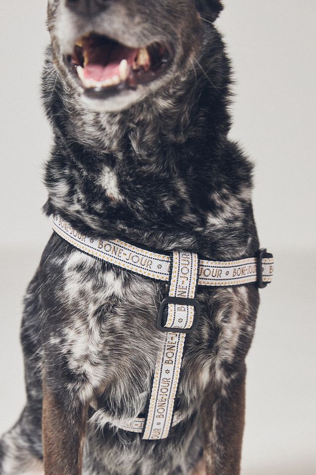 The Bistro Tile Dog Harness #2