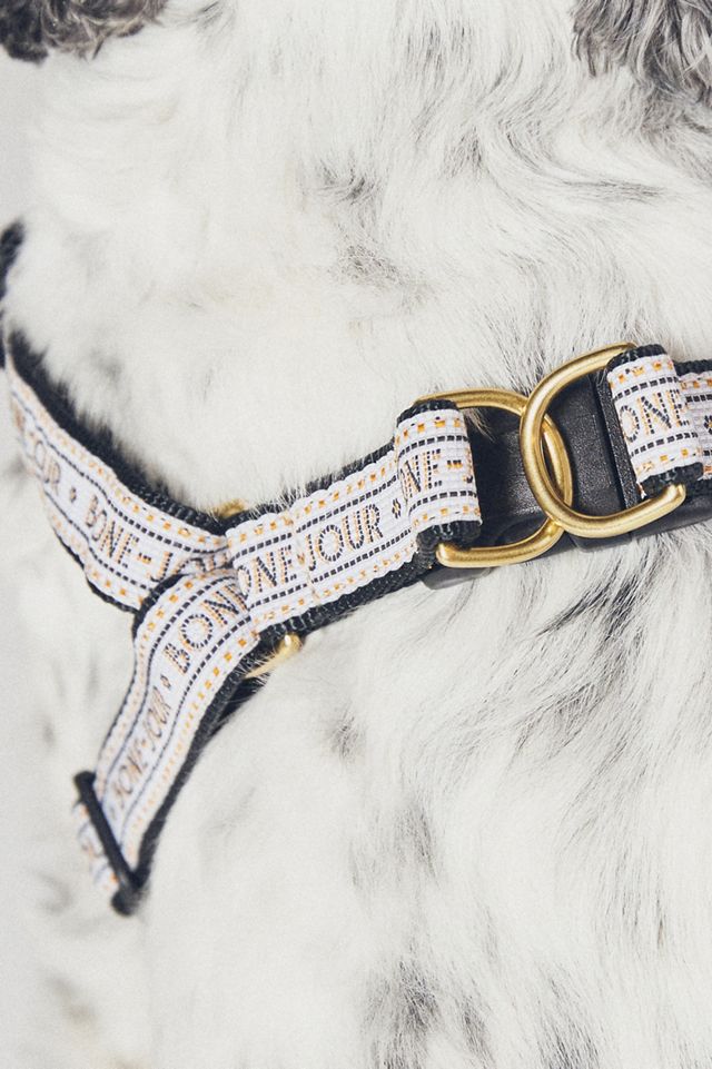 The Bistro Tile Dog Harness #3