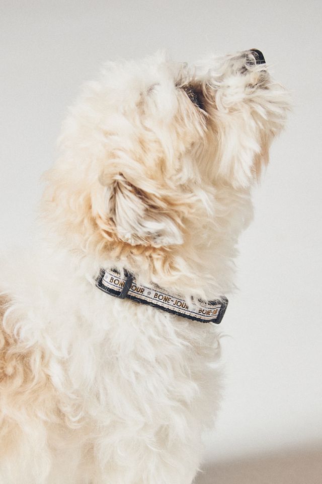 The Bistro Tile Skinny Dog Collar #1