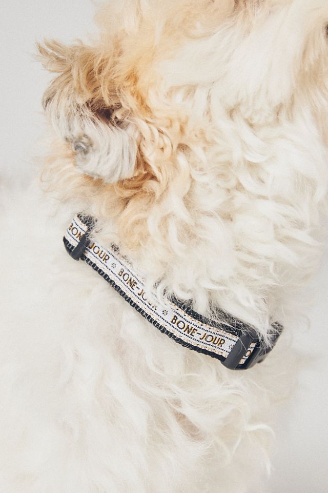 The Bistro Tile Skinny Dog Collar #2