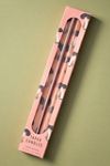 Forage Fall Icon Taper Candles, Set of 2