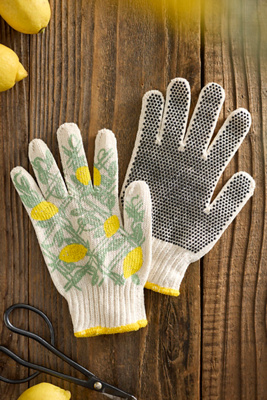 My Little Belleville Lemon Grove Garden Gloves