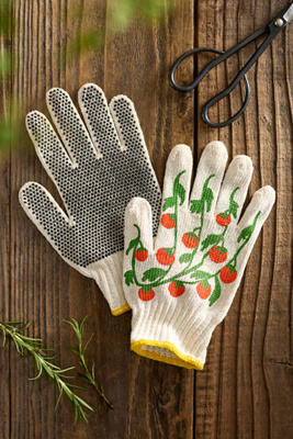 My Little Belleville Tomato Garden Gloves