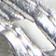 Silver Metallicblacksea