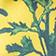 Yellow & Ivory Floral