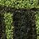 SimplyExtraJordanary Tea Printed Coir Doormat