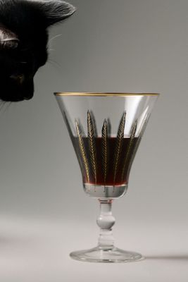 Catherine Martin Midnight Creatures Decaled Goblet Glass