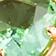 MENTHE