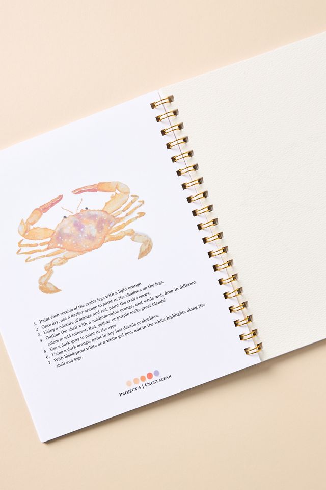 Paint & Pigment Studios Watercolor Workbook