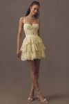 V. Chapman Josie Lace Sweetheart Fit & Flare Tiered Mini Dress