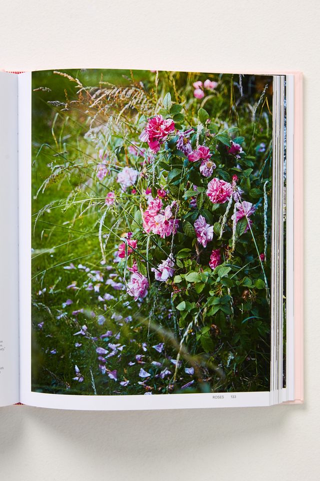 Roses in the Garden #1