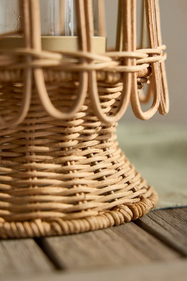 Rattan Caged Vase #5