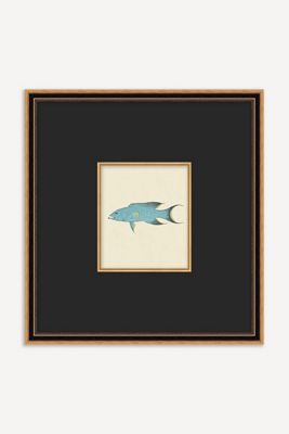 Petite Catch Wall Art