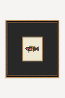 Anthropologie Petite Catch Wall Art