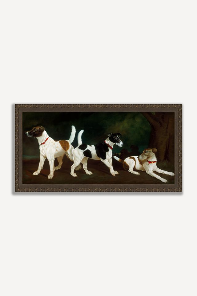 Untitled Dog Wall Art #1