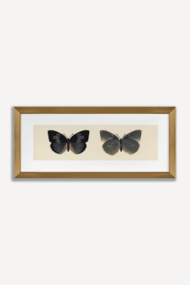 Anthropologie Flutter Iv Wall Art