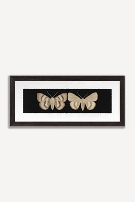 Flutter X Wall Art