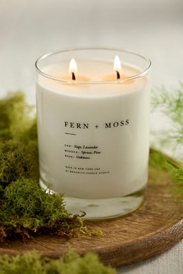Terrain Brooklyn Candle Studio Fern + Moss Candle