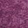 Plum Suede