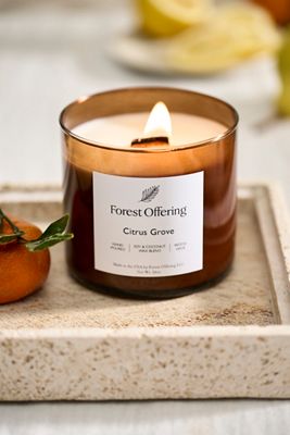 Forest Offering Candle, Citrus Grove