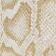 Snakeskin