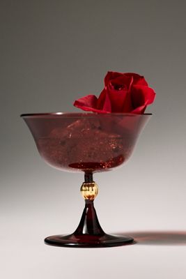 Catherine Martin Midnight Creatures Coupe Glass