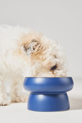 Marina Pet Bowl