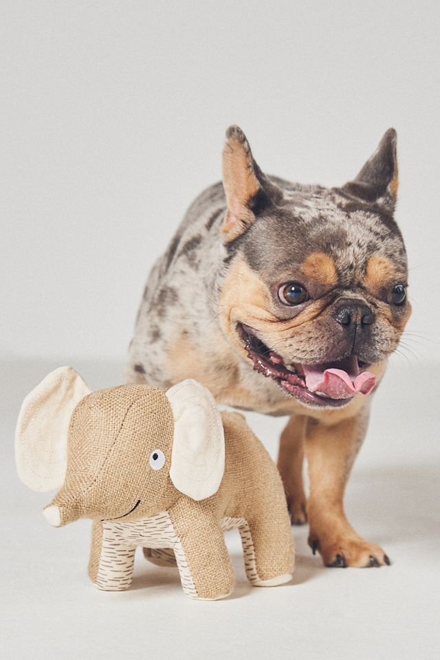 Fringe Studio Plush Dog Toy #1