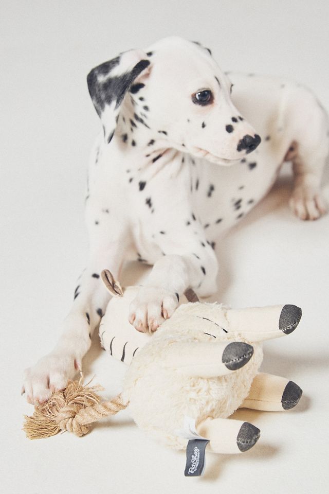 Fringe Studio Plush Dog Toy #1